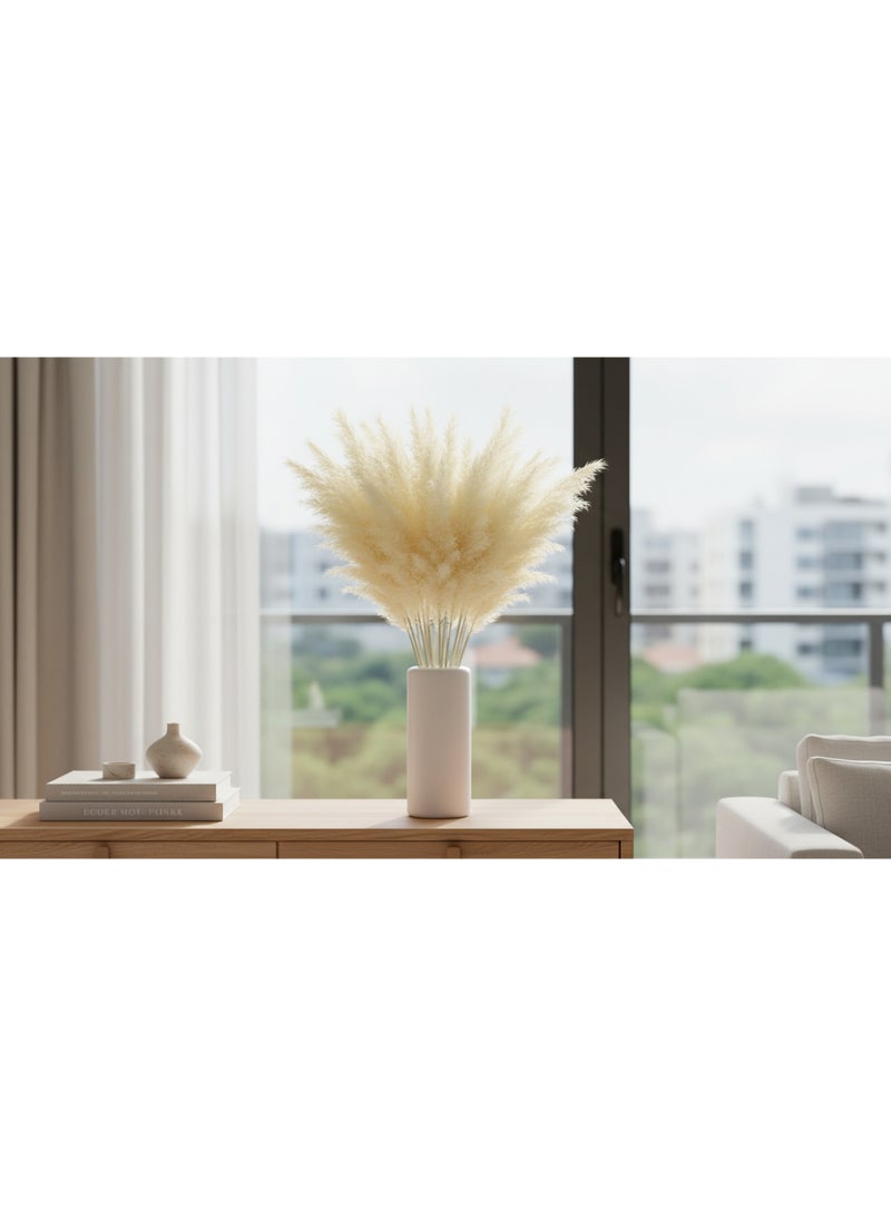 FANCY FLOWERS FANCY Original Natural Dried Pampas Grass, 70 cm Tall Extra Fluffy Cream White , Home  Décor, Pack 3 - Image 5